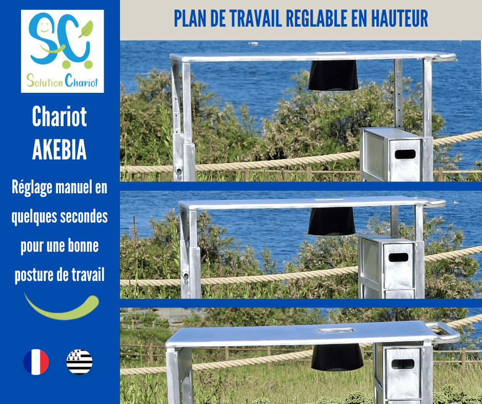 Plan de travail réglable du chariot ergonomique AKEBIA